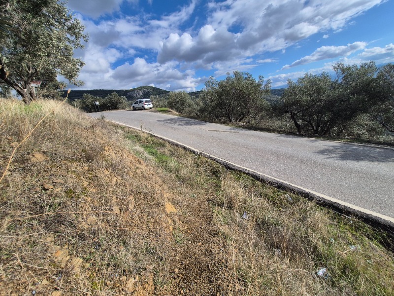 Edremit Ortaoba Mah`daZeytinlik. - 13